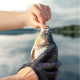 Left hand FISHING GLOVE With Telescoping Buckle 