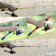 1.8m Fishing Pole Set Full Kits With Telescopic Fishing Rod And Spinning Reel Baits Hooks Travel Pole Set