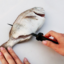 Stainless Steel Fish Filleting Knife Meat Cutting Fish Killing Knife 6.5inch with spoon