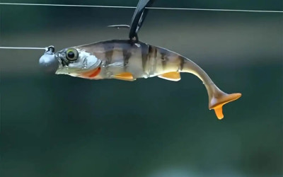 How to Start Fish Farming in Kenya (Step-by-Step Guide)