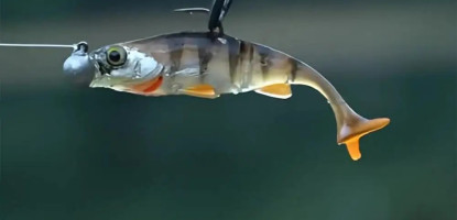 How to Start Fish Farming in Kenya (Step-by-Step Guide)