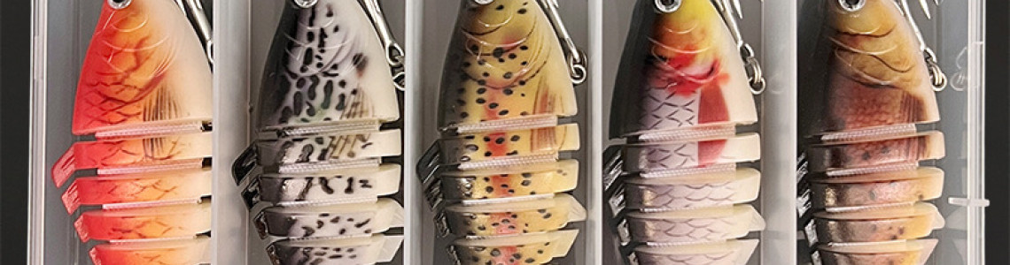How to Store and Transport Fish Properly Using Cooler Boxes