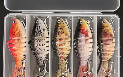 How to Store and Transport Fish Properly Using Cooler Boxes