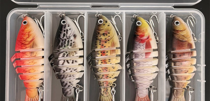 How to Store and Transport Fish Properly Using Cooler Boxes