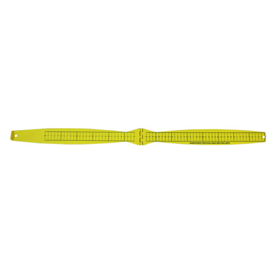 Foldable fish ruler Foldable fish ruler