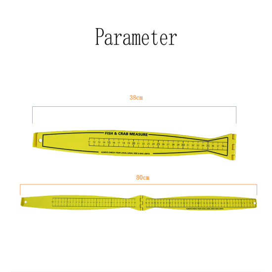 Foldable fish ruler Foldable fish ruler
