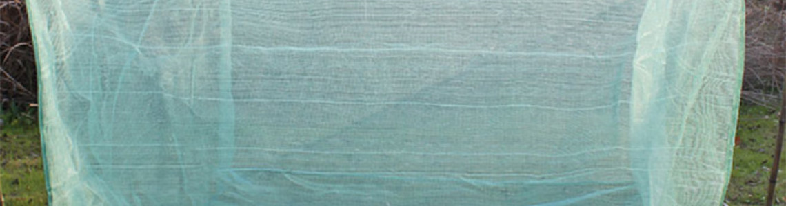 How to Dig a Fish Pond in Kenya: Soil and Slopes