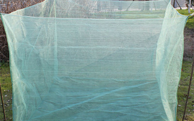 How to Dig a Fish Pond in Kenya: Soil and Slopes