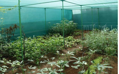 Using Shade Nets in Aquaculture and Farming: Best Practices for Kenyan Farms