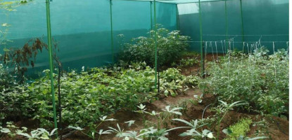 Using Shade Nets in Aquaculture and Farming: Best Practices for Kenyan Farms