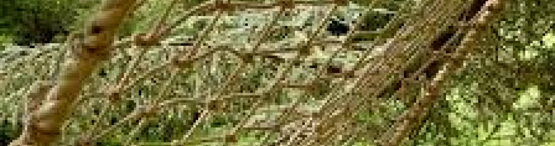 Natural Hemp Rope Nets: Uses in Climbing, Decor & Outdoor Recreation