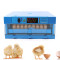 60 EGGS AUTOMATIC INCUBATOR