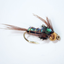 A.P PEACOCK AND PHEASANT NYMPH