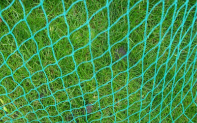 ANTI BIRD NET: PROTECT YOUR CROPS AND FISH PONDS