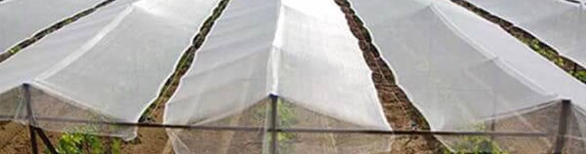 Shade Net vs Insect Net vs Bird Net: A Kenyan Farmer’s Guide