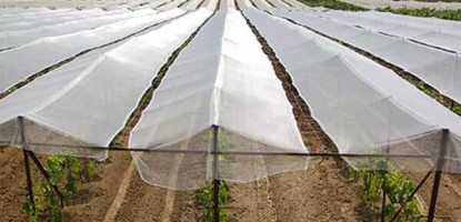 Shade Net vs Insect Net vs Bird Net: A Kenyan Farmer’s Guide