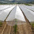 Shade Net vs Insect Net vs Bird Net: A Kenyan Farmer’s Guide