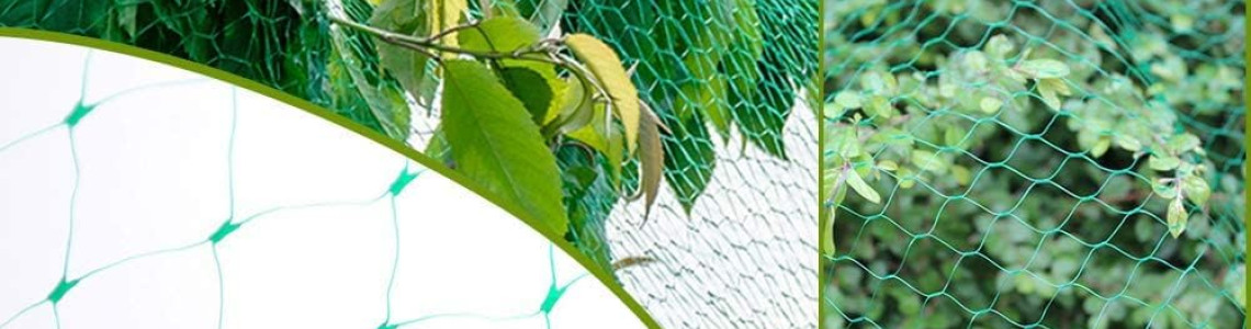 Anti Bird Netting in Kenya | Protect Crops Easily