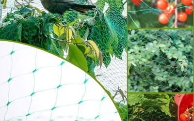 Anti Bird Netting in Kenya | Protect Crops Easily
