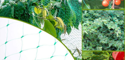 Anti Bird Netting in Kenya | Protect Crops Easily