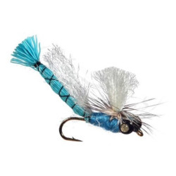 ATCHISON'S DAMSEL ATCHISON'S DAMSEL