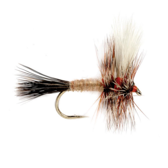 AUSABLE WULFF
