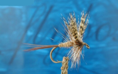 Lake Turkana Fishing: Species, Access and What the Jade Sea Demands