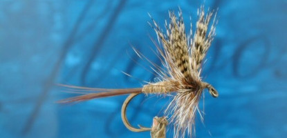 Lake Turkana Fishing: Species, Access and What the Jade Sea Demands