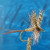 Lake Turkana Fishing: Species, Access and What the Jade Sea Demands