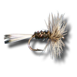 BADGER HACKLE PEACOCK