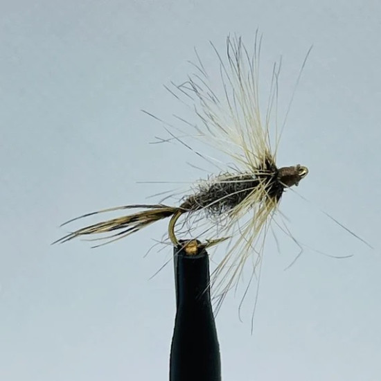 BADGER SPIDER BADGER SPIDER