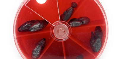 Exporting Fish from Kenya: What Buyers and Regulators Ask For