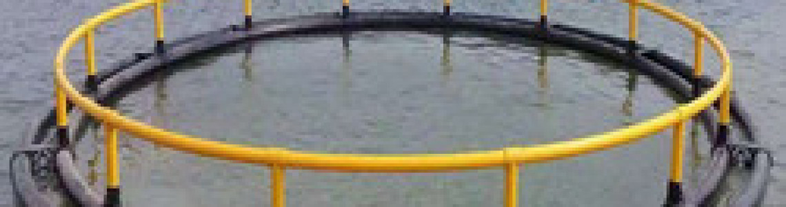 Fish Cage Farming: The Blue Revolution That's Changing Economies