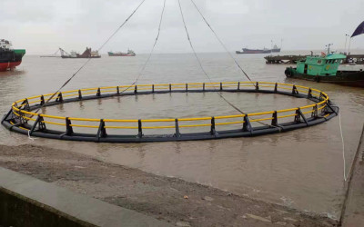 Fish Cage Farming: A Key Player in the Blue Economy