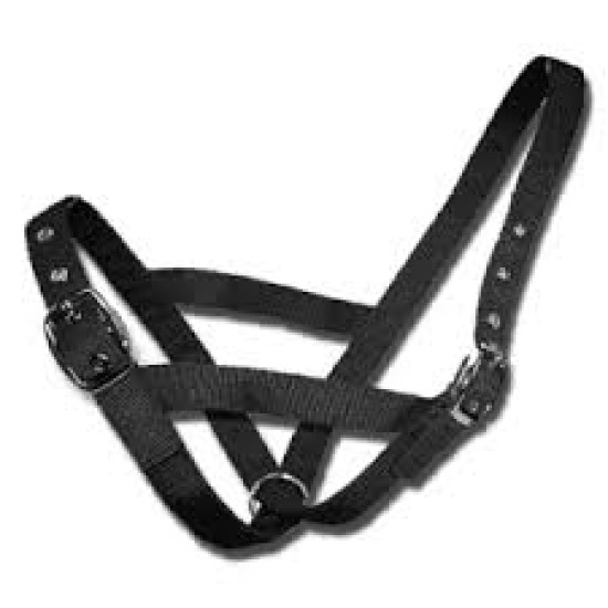 COW HALTER COW HALTER