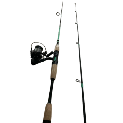 DELUXE FISHING ROD AND REEL