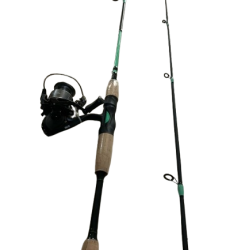 DELUXE FISHING ROD AND REEL