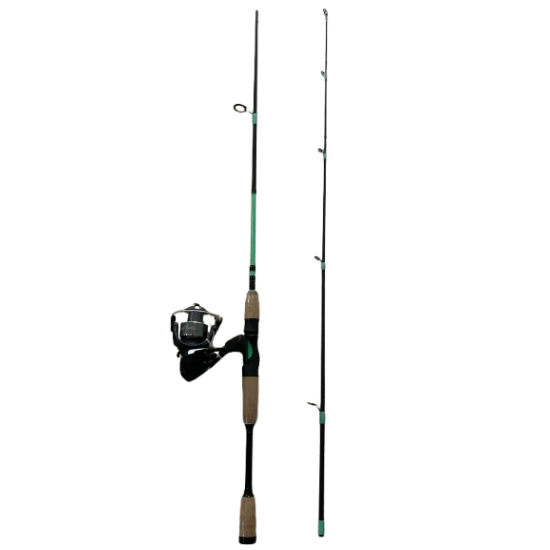 DELUXE FISHING ROD AND REEL
