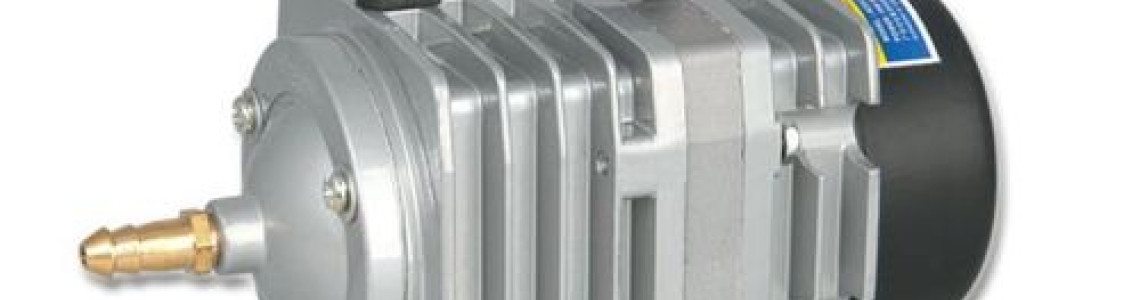 ELECROMAGNETIC AIR PUMP