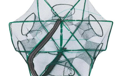 Catching the Future: The Importance and Ease of Using Fish Trap Nets