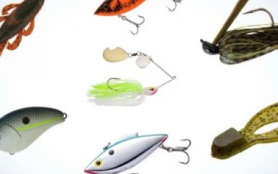Kenya Fishing Season Calendar: Best Months to Fish by Lake and Coast