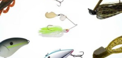 Kenya Fishing Season Calendar: Best Months to Fish by Lake and Coast