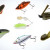 Kenya Fishing Season Calendar: Best Months to Fish by Lake and Coast