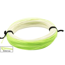 WF3F WITH 2 WELDED LOOPS