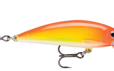 Barbus Fishing in Kenya: Baits, Rigs & Seasons