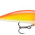 Barbus Fishing in Kenya: Baits, Rigs & Seasons