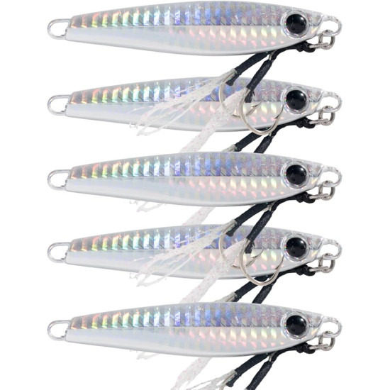 JIGGING LURE 60g