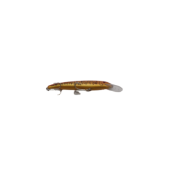 Deep Sea Trolling Lure -5