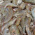 Handling Crab and Prawn Harvest