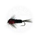 MONTANA RED